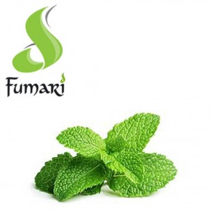 Табак Fumari Mint (Мята) - 100 грамм