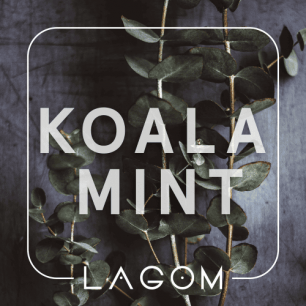 Табак Lagom Koala Mint (Жвачка Орбит с Эвкалиптом) - 40 грамм
