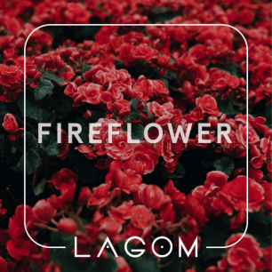 Табак Lagom Fireflower (Цветочно Пряный Вкус) - 40 грамм