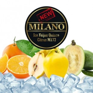 Табак Milano Ice Feijoa Quince Citrus М173 (Лед Фейхоа Айва Цитрус) - 50 грамм