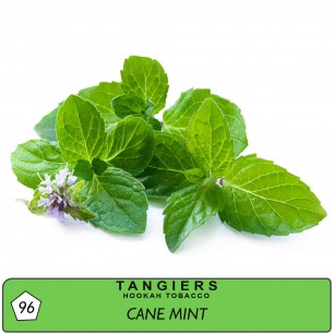 Табак Tangiers Birquq Cane Mint (Перечная Мята) - 50 грамм (Фасовка)