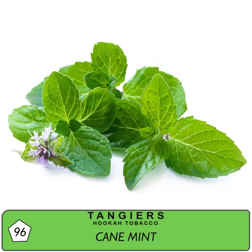 Табак Tangiers Birquq Cane Mint (Перечная Мята) - 50 грамм (Фасовка)