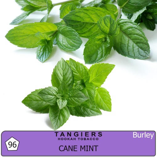 Табак Tangiers Burley Cane Mint (Перечная Мята) - 250 грамм