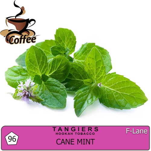 Табак Tangiers F-Line Cane Mint (Перечная Мята) - 250 грамм