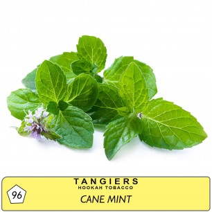 Табак Tangiers Noir Cane Mint (Перечная Мята) - 250 грамм
