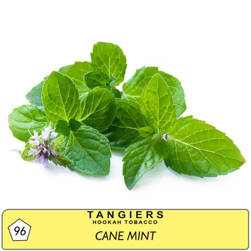 Табак Tangiers Noir Cane Mint (Перечная Мята) - 250 грамм