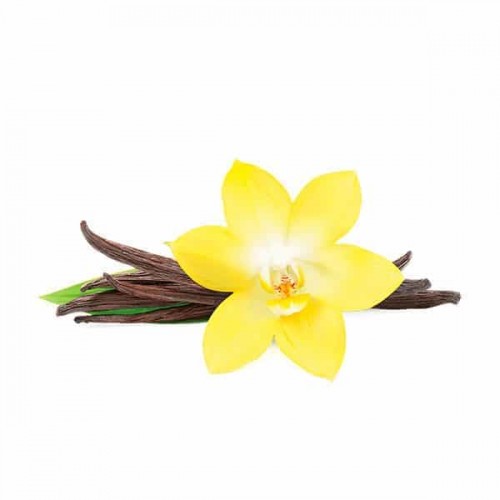 Табак для кальяна Fumari French Vanilla (Французская Ваниль) - 100 грамм