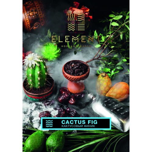 Табак для кальяна Element Вода Cactus Fig (Кактус Финник) - 100 грамм