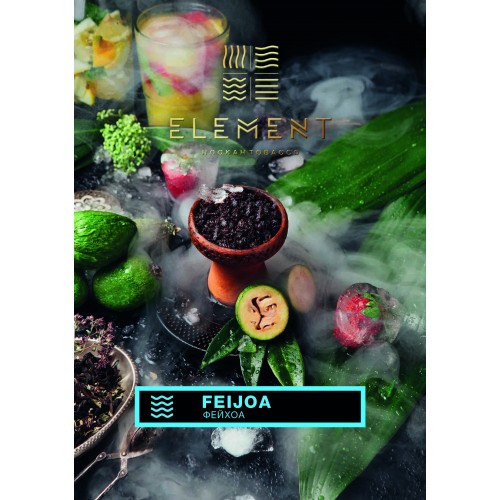 Табак для кальяна Element Вода Feijoa (Фейхоа) - 100 грамм