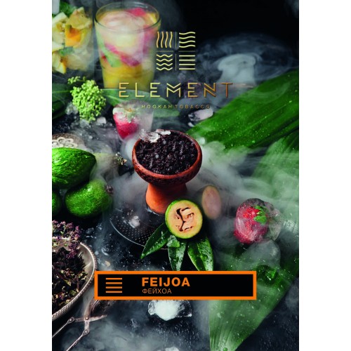 Табак для кальяна Element Земля Feijoa (Фейхоа) - 100 грамм