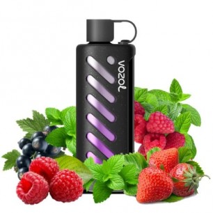 Ягодная Мята (Berry Mint) Vozol Gear Shisha 25000 тяг