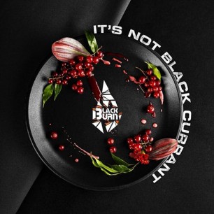 Табак Black Burn Its Not Black Currant (Итс Нот Черная Смородина) - 100 грамм